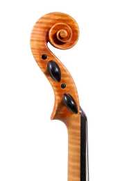 A Violin - 3